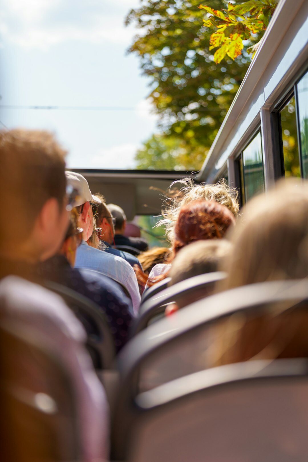seniors on scenic bus tour