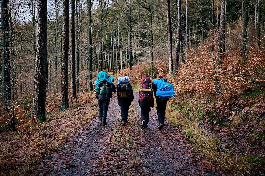group seniors hiking gently