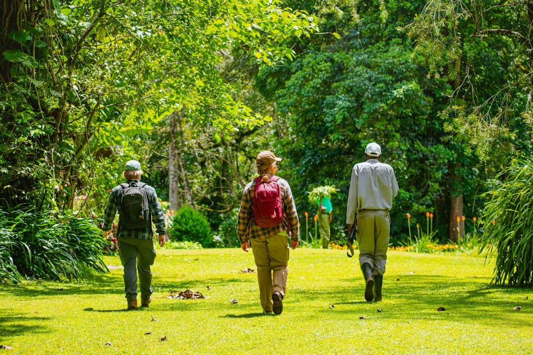 group elderly walking park