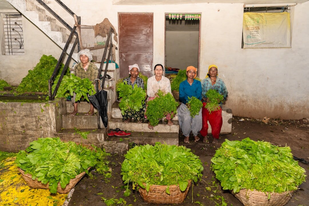 seniors gardening together